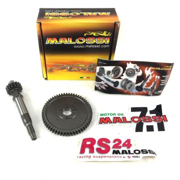 Podstawowa oś Kymco Ludzie S/Agility 16 Malossi 6714189