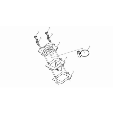 Kolektor China Venom zielony