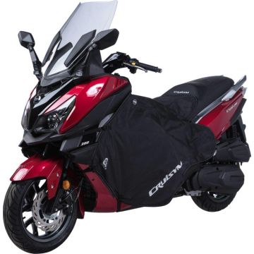 Oryginalny silnik do Sym Cruisym (Alpha) SY610-WA20644-1