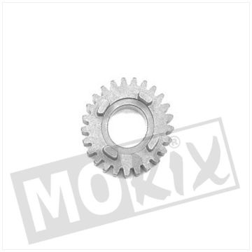 Gear Am 6. bieg Primary 2nd Series 25t