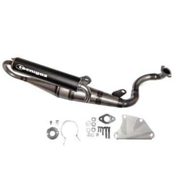 Chiny Wydechowy 2-suwowy Daelim S-Five Tecnigas Next-R