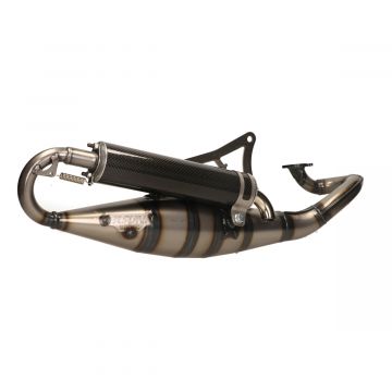 Wydech Minarelli model Yasuni-R Carbon