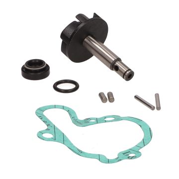 Zestaw remontów pompy wody Minarelli AM6 SP