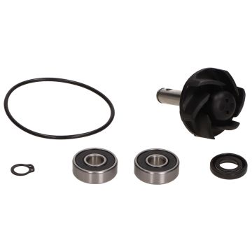 Zestaw remontów pompy wody Minarelli poziome