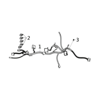 Wire harness Sym Joymax Z 125 E4