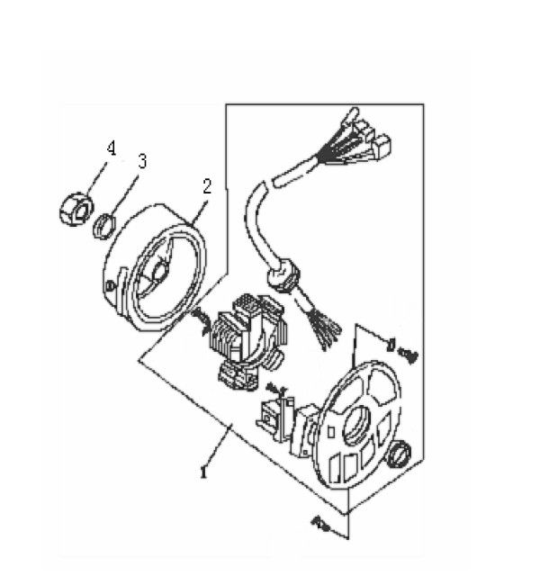 Zapłon Generic Roc silver 2010 2-suw