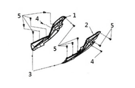 Side cover Sym Joymax Z 125 E4