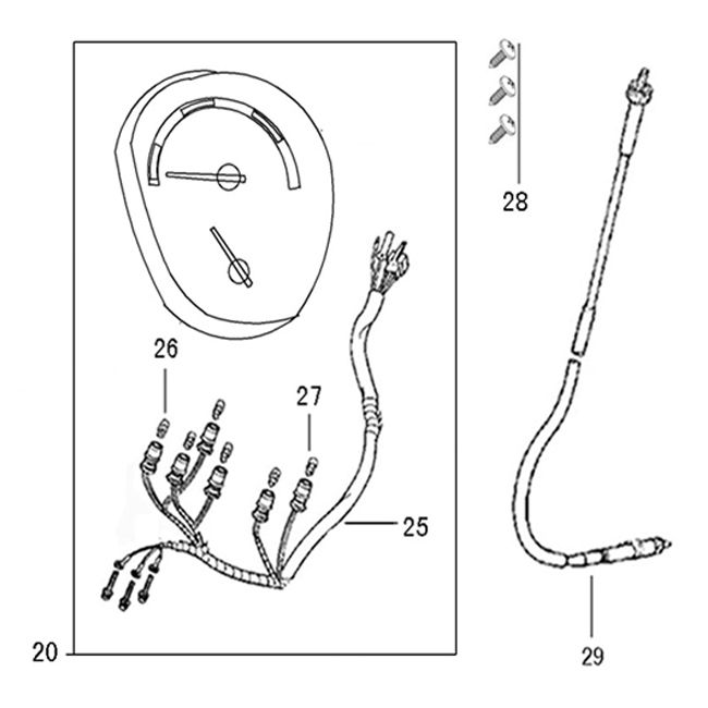 Licznik AGM Swan (EURO4)