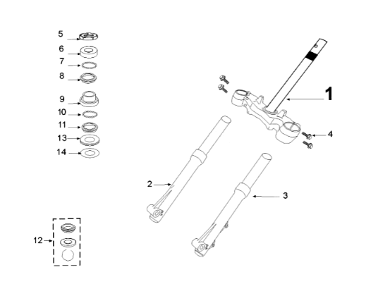Voorvork - balhoofdstel Peugeot Tweet 125 E3 2010-2013