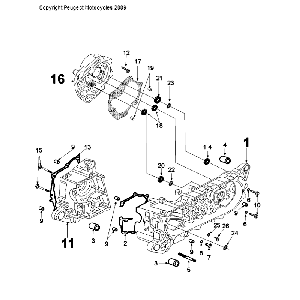 Carter Peugeot Tweet Evo Euro 4