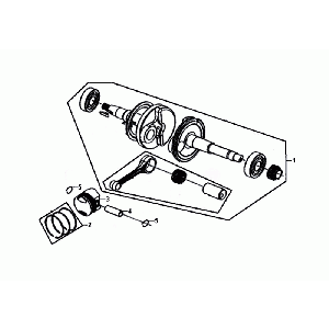 Wal Korbowy Sym Allo Euro4 (BK-5560S) Jasny Czarny