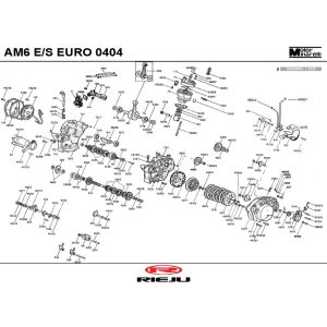 Silnik Rieju Rs2 Naked czerwony 2009 2-suwowy