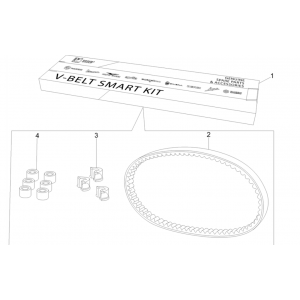 Zestaw paska klinowego - Walce wariatorowe Vespa GTS 300 Super HPE 4V IE ABS Euro 5 2020-2022