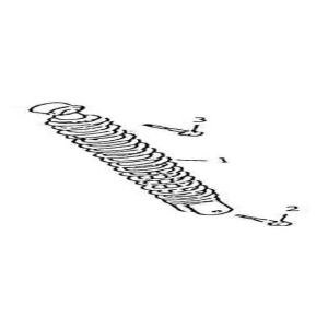 Amortyzator China GT czarny