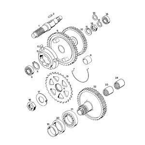 Voortandwiel - versnellingsbak Tomos STANDARD QUADRO LUXE 1996 - 1997