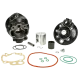 Zestaw cylindra Top Performances Ø49mm 73cc Minarelli AM6